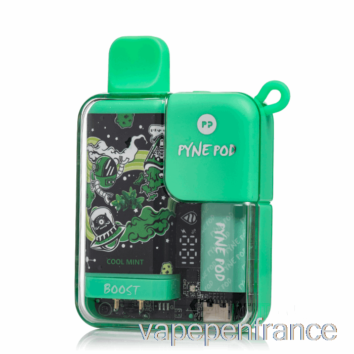 Stylo Vape Jetable à La Menthe Fraîche Pynepod 8500